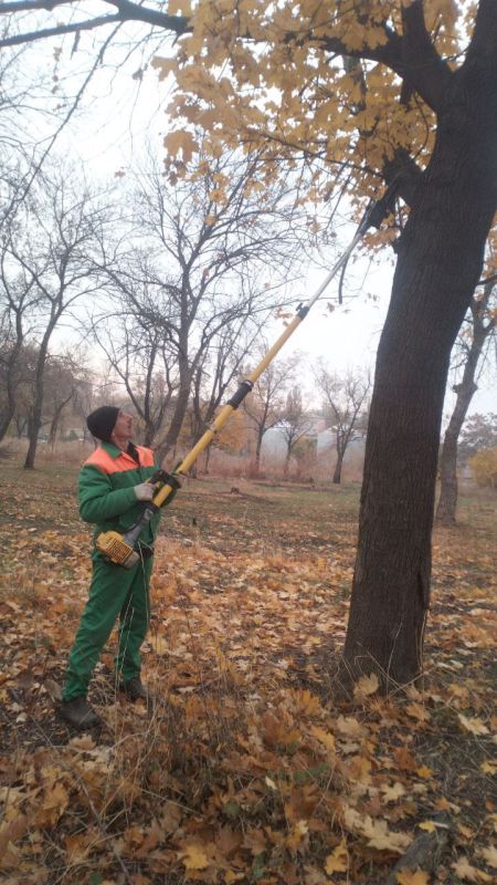 ���� �����������: �������, 25 �������, ������ ������������ ����������� ���� ��������� ������ �� ��������� ������� � ������� �� ���������� �. �������: