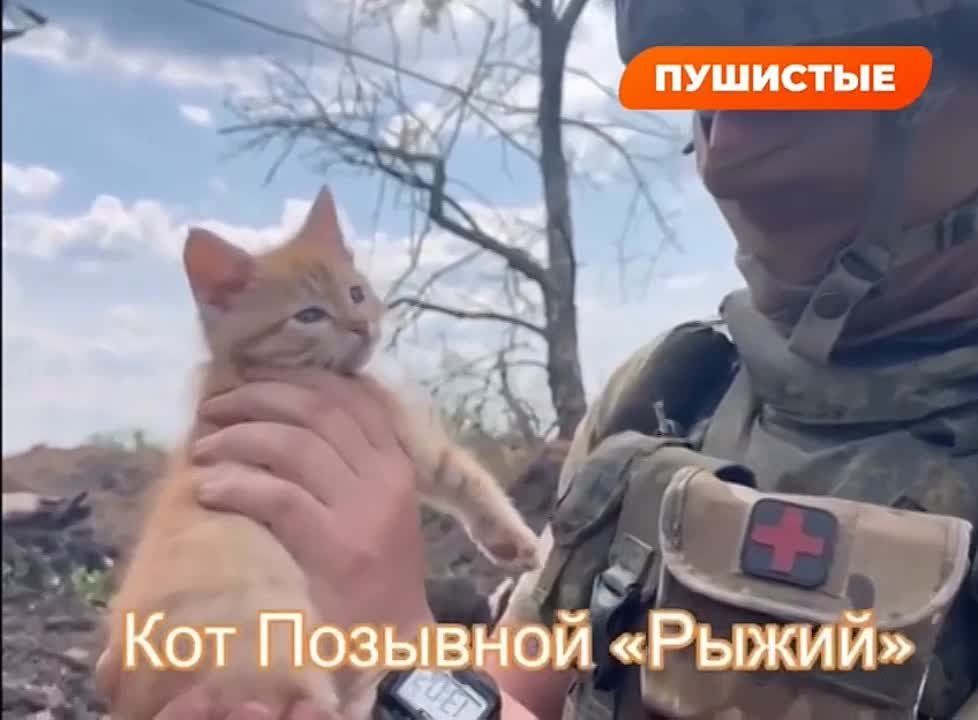 ������� ������ �����: �� ������ ������ ��� �����