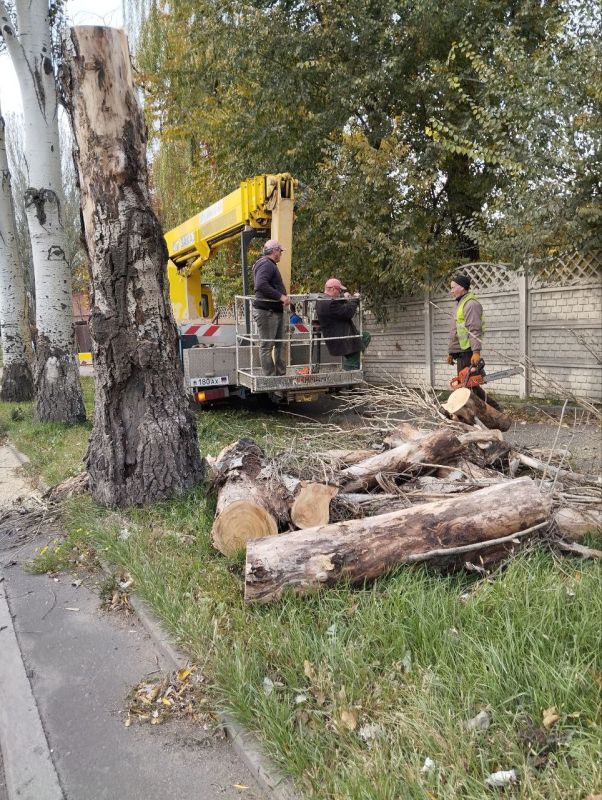 ���� ������: ������������ ������������ ��� ��� "��������� ����������" ��������� ������ �� �������� ����������� �������� �� ��. ������