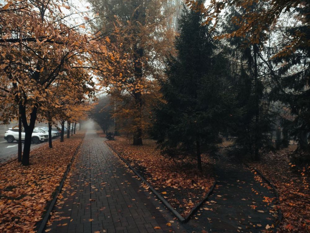 ����� ��������: ������ ������� ���������� ������!