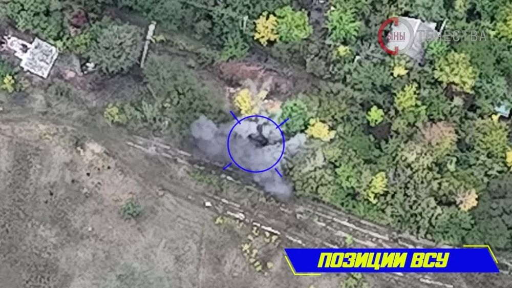 ��� �� ������ ���������: 123 ������� ���������� ������� � ������ ��� � �����������