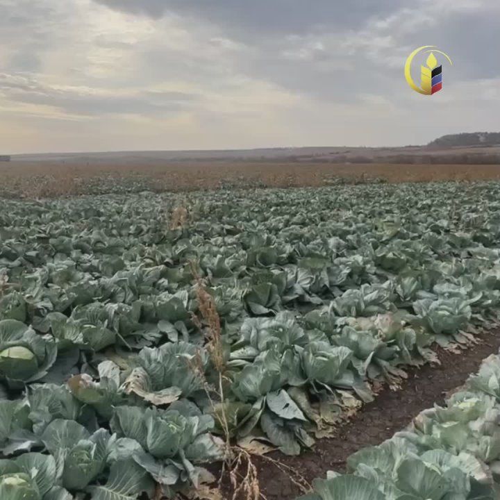 � ���������� ���� ���� ������ ��������� ������