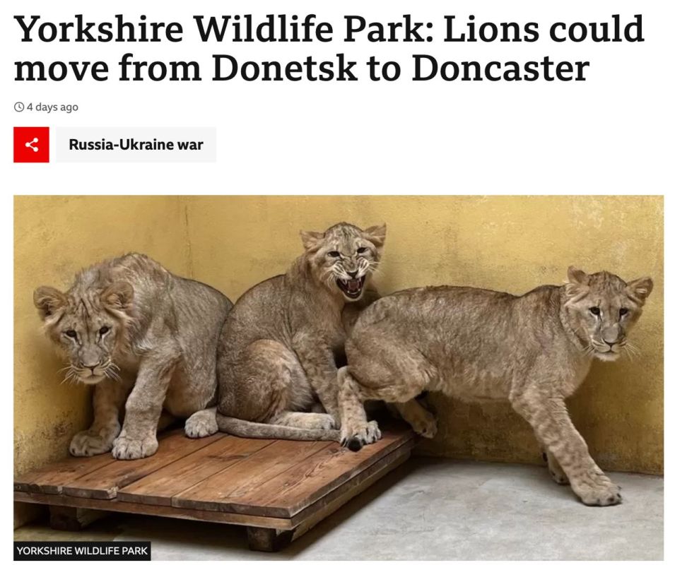 ������� ��������: ��� ���������, �� ���� ���� ������� ������ � ������ �� �������