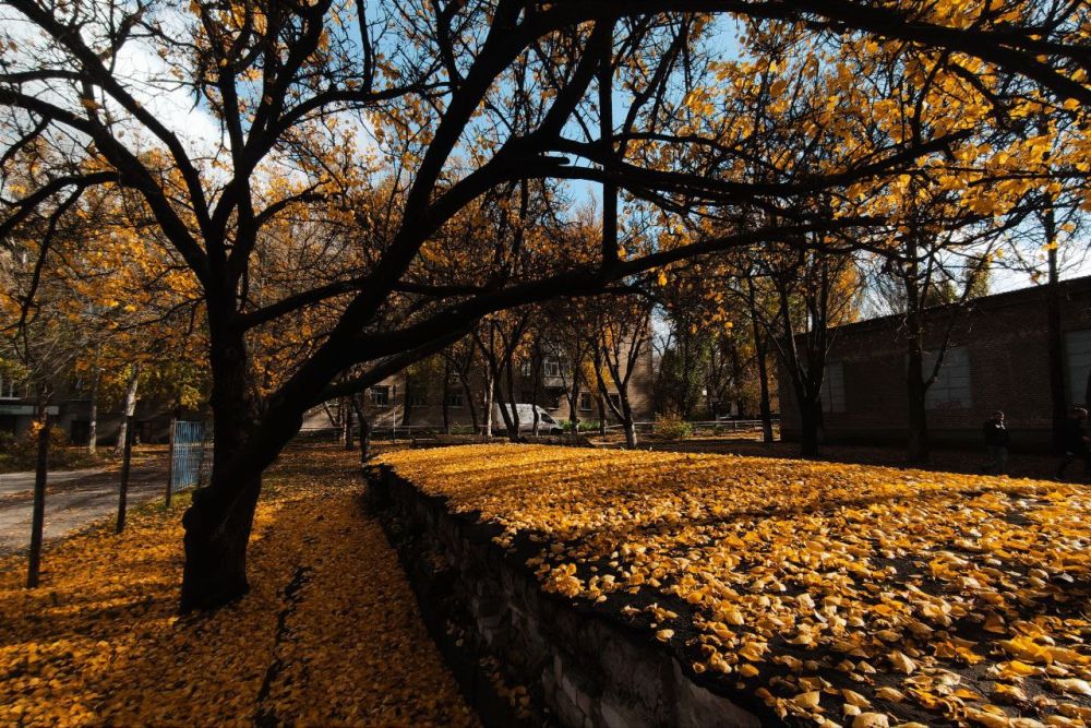 ����� ��������: ������ ������� �������� ������ �����