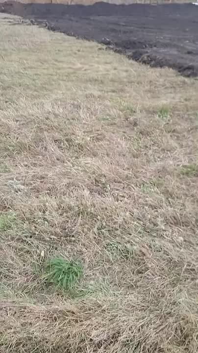 ����� �������� �� ����