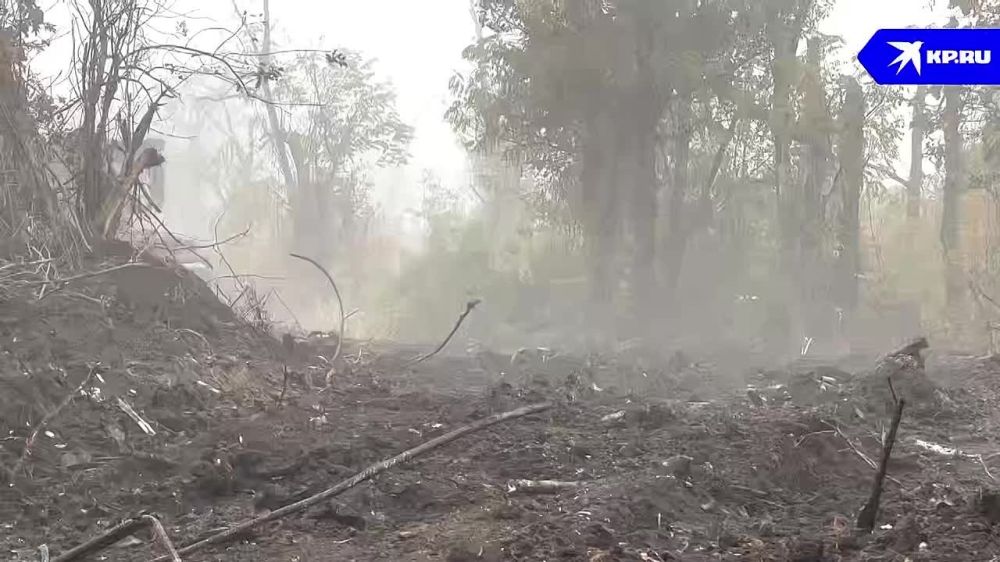 ������������� �� �������� �����������