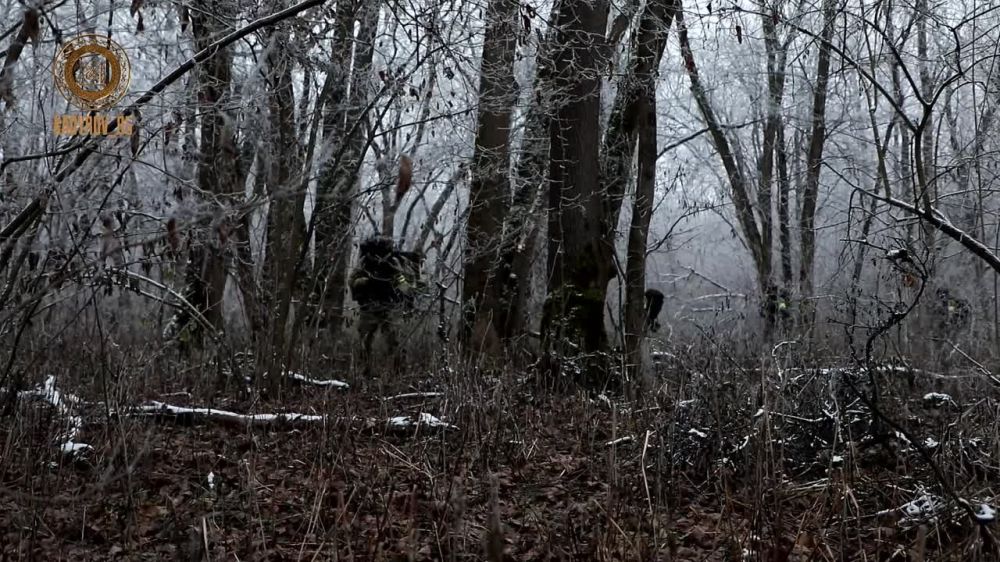 ������ �������: ������� ���� o���������� ������������� ������o��������� ������ ����������