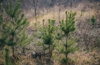 �� ������ ����� ��������������� � ��� ������� ���. �� ������ ����� ��������������� � �������������� ������ ��� ������� ���....