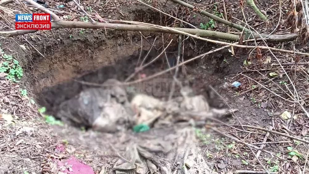 ������� ��������: ��� ���� �� ������ ������������! ���������� � ��� ������, ������� ����������� ����� ���� ������ ����� ���� ��������, � ������ ����� ���������