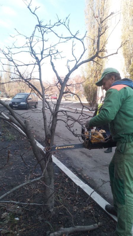 ���� �����������: �������, 30 �������, ������ ������������ ����������� ���� ��������� ������ �� ��������� ������� � ������� �� ���������� �. �������: