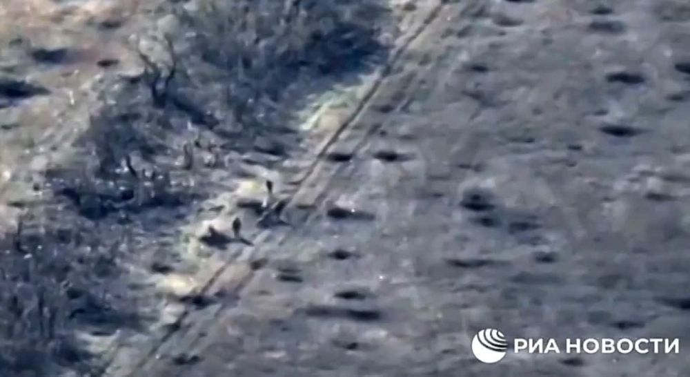 ��������� ������� ������� ��� ���������� FPV-��������� �� ������� �� �� �� ���������� �����������