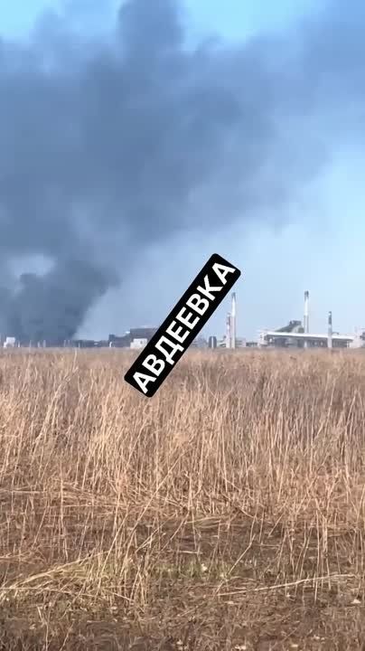����� �����: ���������� �������� ����� ��������� �������� ����� �����