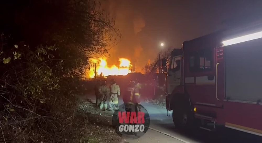 WarGonzo: ������������ � ��� ������� �� ��������� � �������