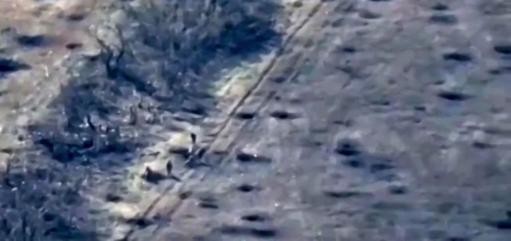 ������ ����������: � ��������� ��� ���������,��� � ���� �������� �������!��������,��������� ������� ������� ��� �� �������!