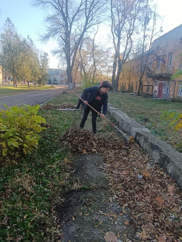 ���� �����������: �������, 01 ������, ������ ������������ ����������� ���� ��������� ������ �� ��������� ������� � ������� �� ���������� �. �������: