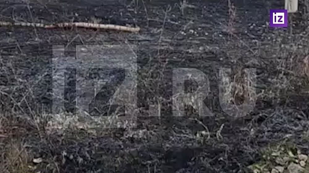 � ������� ���� ���� ���������� ������������ ������������ ������ ������ �������