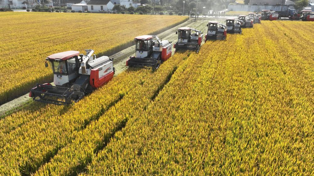 На льготный лизинг оборудования для бизнеса на Херсонщине выделено 40 миллионов рублей