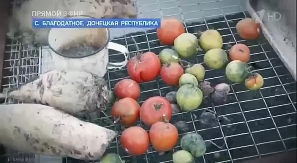 ������� �������: � �����, � ������, � ��������: