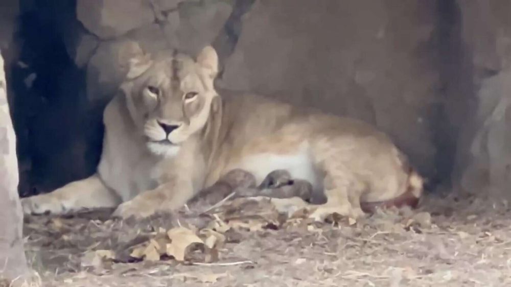 � ����� �������� ���� ��������� � ����������� �� ��������� �����