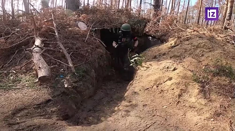 ��������� ��������: ����� �� �� ���������� �������� ���������� ���������� "����"