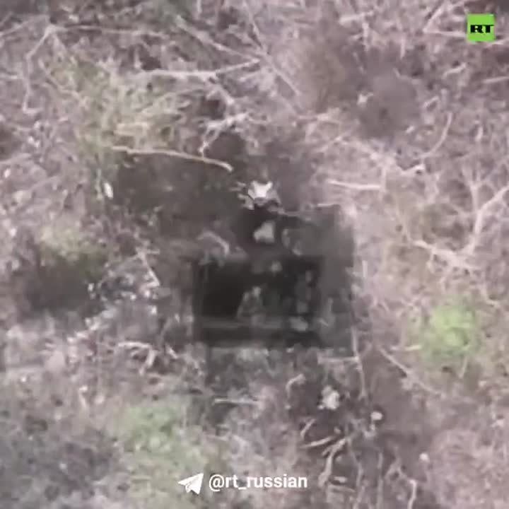���������� ������� ���������� ����������� � ������ �������� (���)