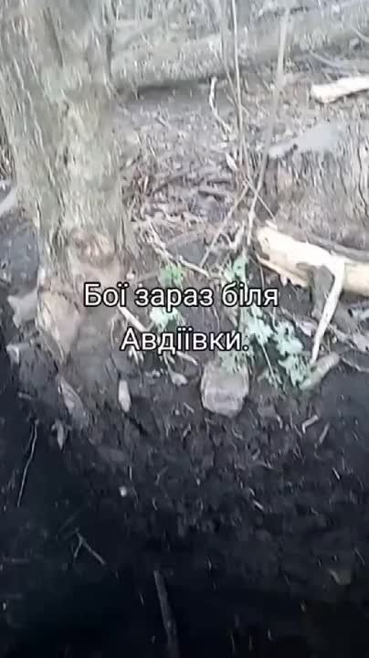 ���������� � ������� � ������ ��������