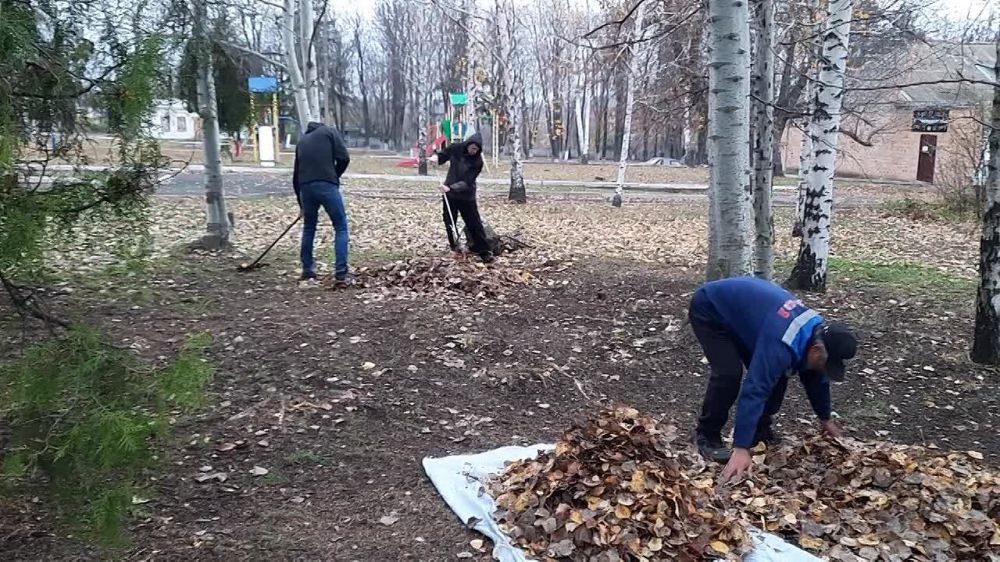 �������, 02.11.2023, ���������� ��� "���������� ��", ��������� � ���������� �����������, ������� ������� � ����������