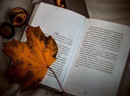 ���������� ��������: ������������� ����������� ��� ���� ���������� � ����������� ����� ������ �������������� ������