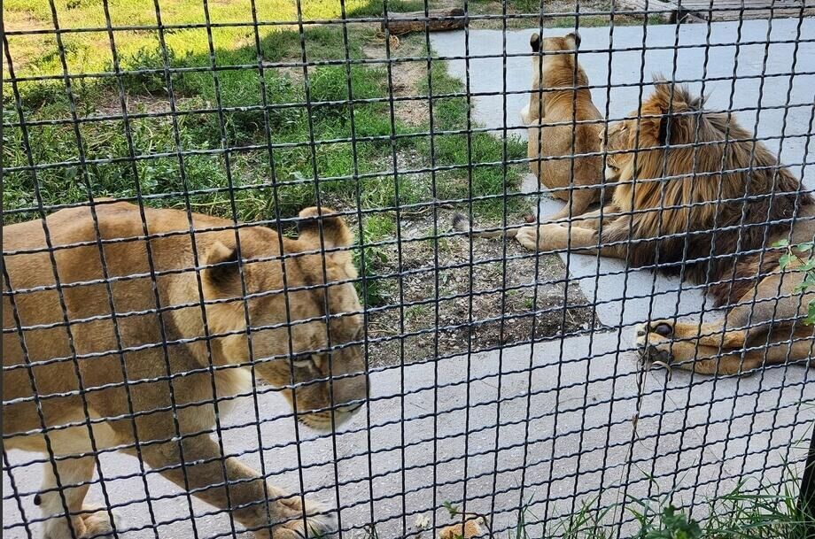 � ����������� �� ��������� ����� �������� ������