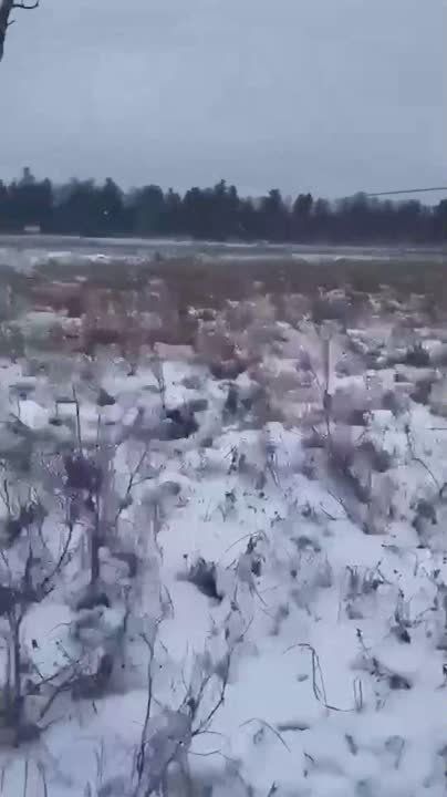 ����� ������, ��� ������������, �� ����� ��������� ��-8, ������� �������� ����������� ������� � ����