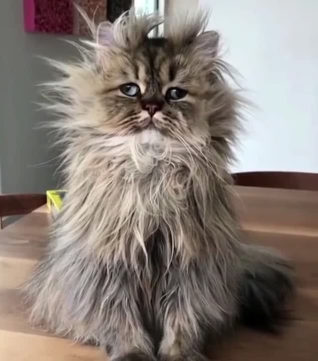 ������ ����, ���������. !�������� ��� � ������� �� ����� ����� � ����� ������� ������ �������� ���� ���� � ������� ���! ����� ������ ���� � ����� ���������� ��������, �������������� �� ���������� ���� ������ ����������: ��������
