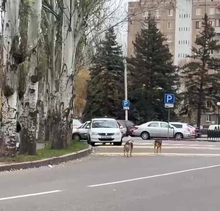 �� ����������:. ����� ��. ��������� � �� ������� ������ ��� ������ ����������� ������. ������� ��������� ������ ��������� �� �������, � ����� �� ������� � �������