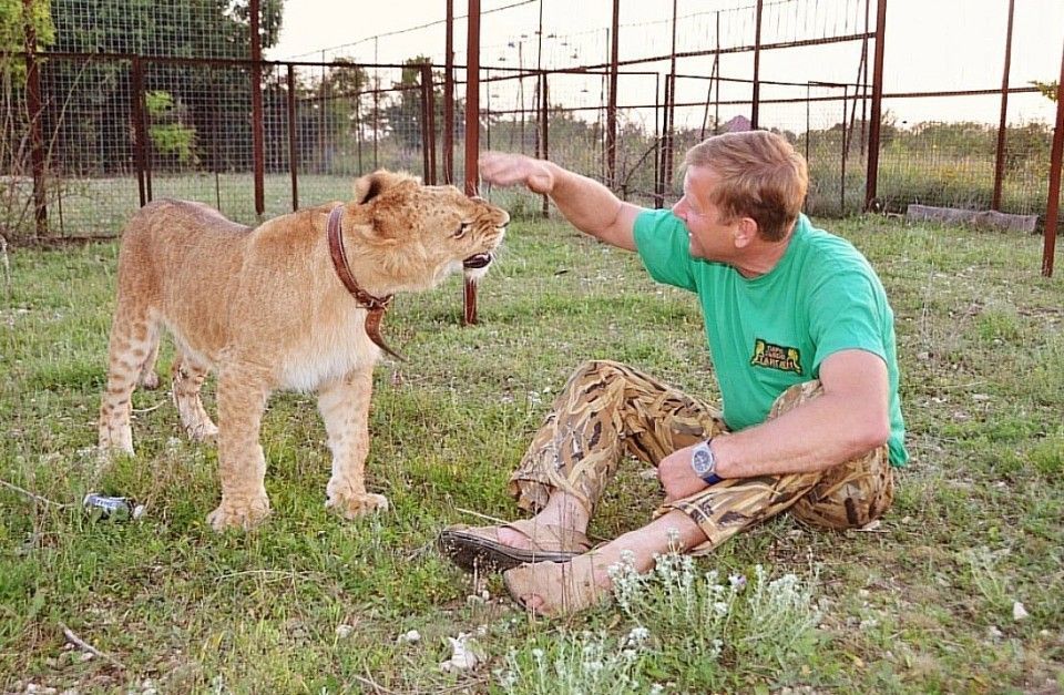 �������������� �� ��������� � ���� ������ ������ ������