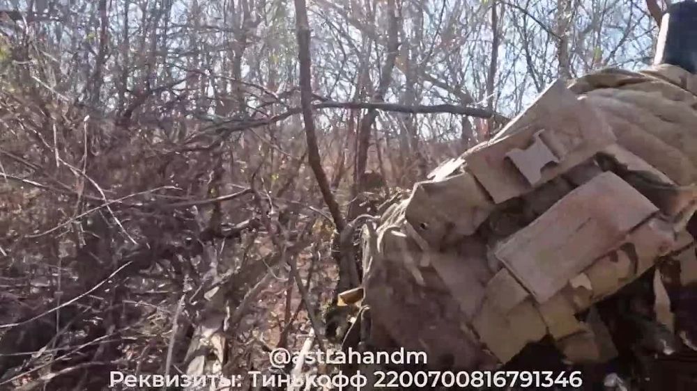 ������� ���������: ������ ������ ���������, ������-��������� � ���������� 5-�� ������� � ��������