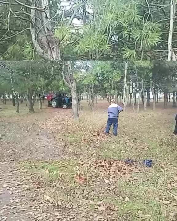 ������������ ���� ������� �� ������ � ������� ������, �� � � ����� ����������� � ������������ �����