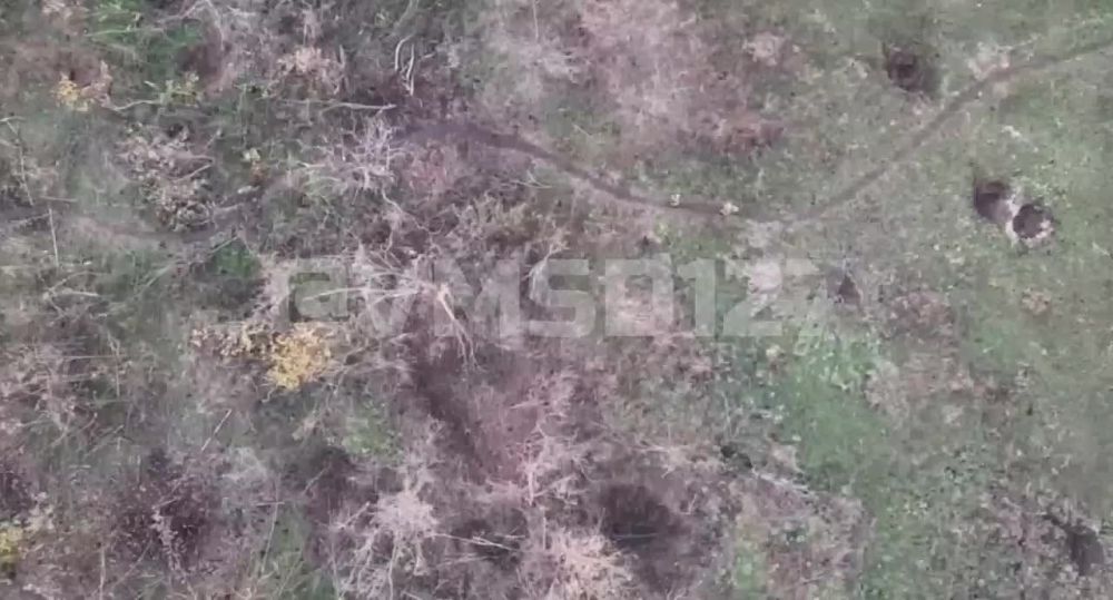 ������� �������: ����� �� ���� ������ � ����-��������� �����������