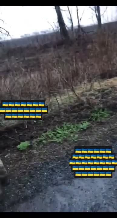 �� ����� ��� �������� ������� ��� ��������� ���������� ���� � �����, ������ ��� ��� ���-� ��������� ���� �������