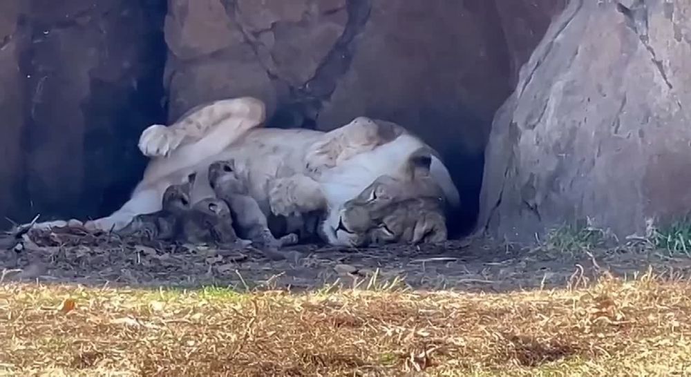 ������, �������������� �� ��������� � ����, ������ ������