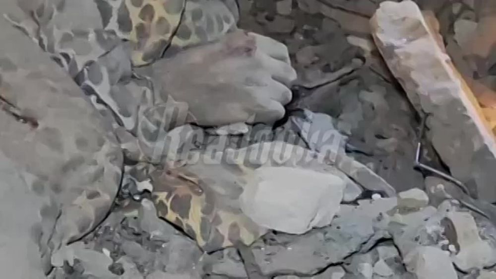 �� ����������� ������� � �����������