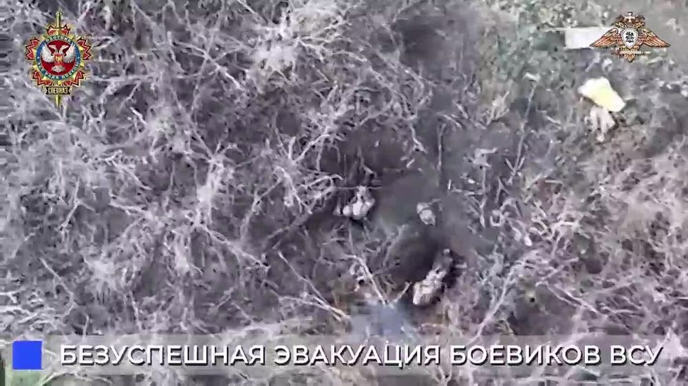 ������� �������: �������� ���������� ������ ������� ������������� 58-� ����� �� ���������� �����������