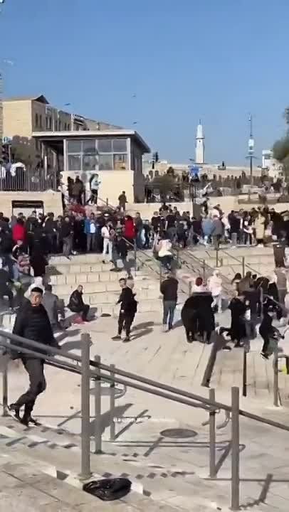 ����� ������ �������� ������� 13-������ ������� � ���������� ���������� �� ������������� ��������