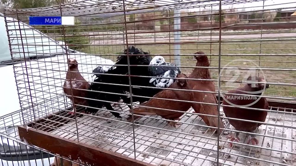 �������� ������� � ���������! ����� ������������ ������������� ����� ���������� ������? 07.11.2023