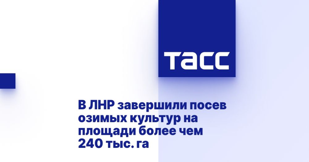 � ��� ��������� ����� ������ ������� �� ������� ����� ��� 240 ���. ��