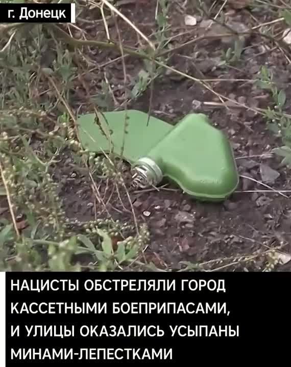 ������� �� ����������� ��������
