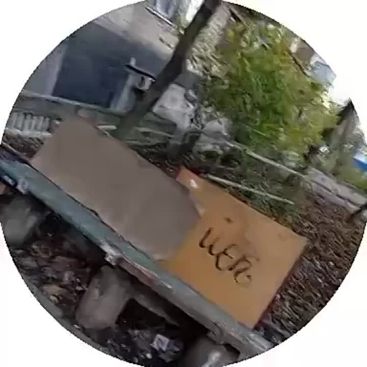 ������� ������: ������, �����-������� � ��� ���� �� ����� ��������