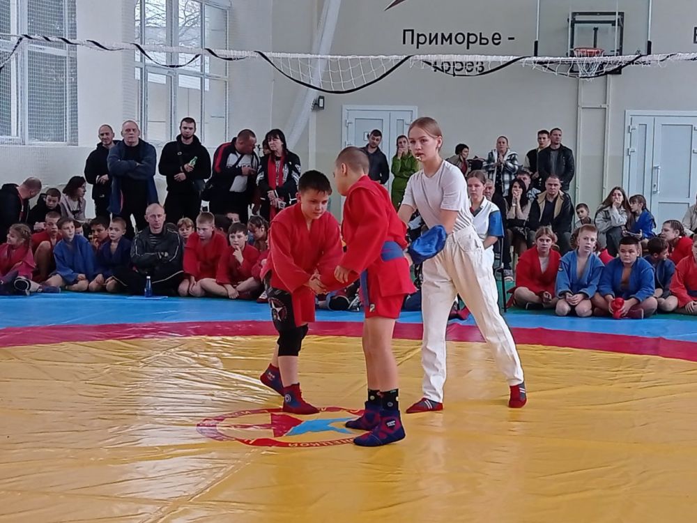 ������� �������: �������� ���������� �. ������ �� �����