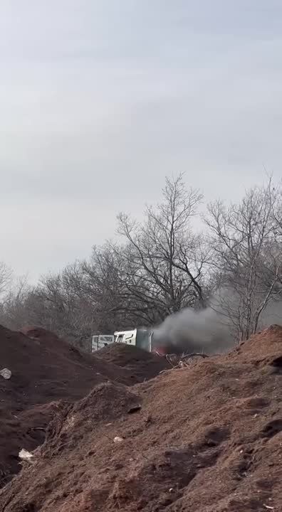 ������ �������: ��� ���� ������������ �� ����������� ����������� ���������� ��������������� Senator ������������ ��������� �������� Roshel