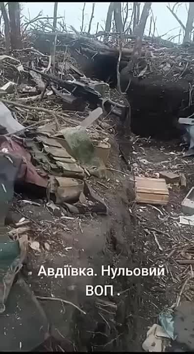 ���������� ����������� ������� ���