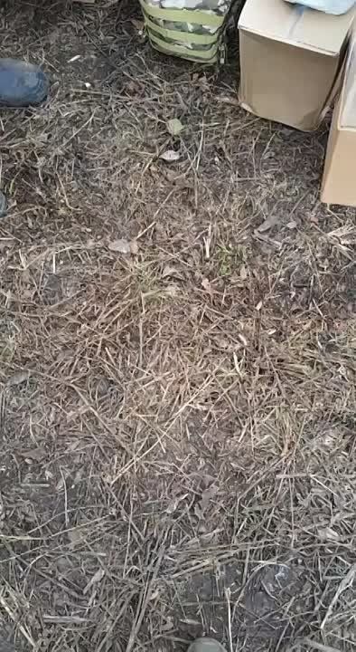 ���� ��������: �������� ����������, ������� ��� ���������, ����������� �������, ���������, ���������������, ������� �������� � ������� ��������������