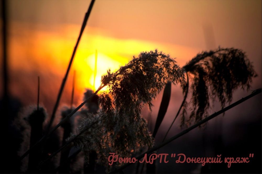 ������ �� ����: 9 ������. ������������ ����������� ��� ����� ����� ������� ������ ���������� � ��������������� ��������